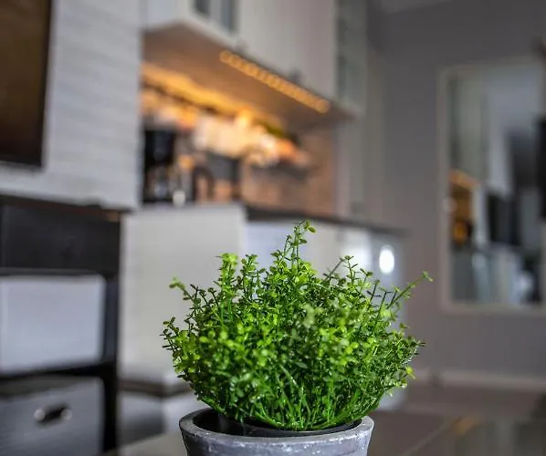 Riia Maantee Appartamento